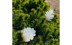 Lightson Garden Plug & Play<Lightson Pine Ljusslinga med kottar 10m LED