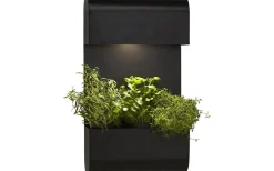 Planta Vägglampa 70cm Svart IP44