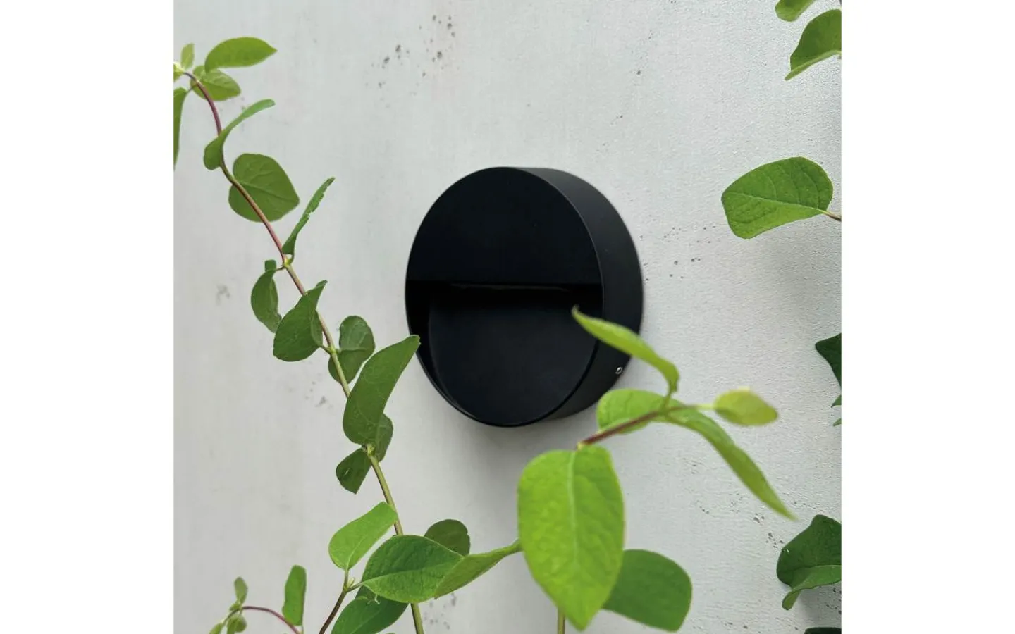 Infälld Murbelysning|Vägglampor Utomhus<Dyberg Larsen Pluto Murbelysning 15cm LED 3000K 6W Svart IP54