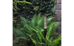 Lightson Garden Plug & Play<Lightson Pollux Pollare LED Svart 3000K 75lm 2W