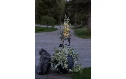 Star Trading Powerspot Solcellsdriven Spotlight 34cm Svart* Solcellslampor Stig & Mark|Visa Alla Solcellslampor