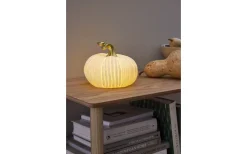 Inomhusdekorationer Batteri<Star Trading Pumpkin Bordsdekoration 15cm Vit