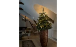 Push Julgransbelysning 20L LED Inomhus