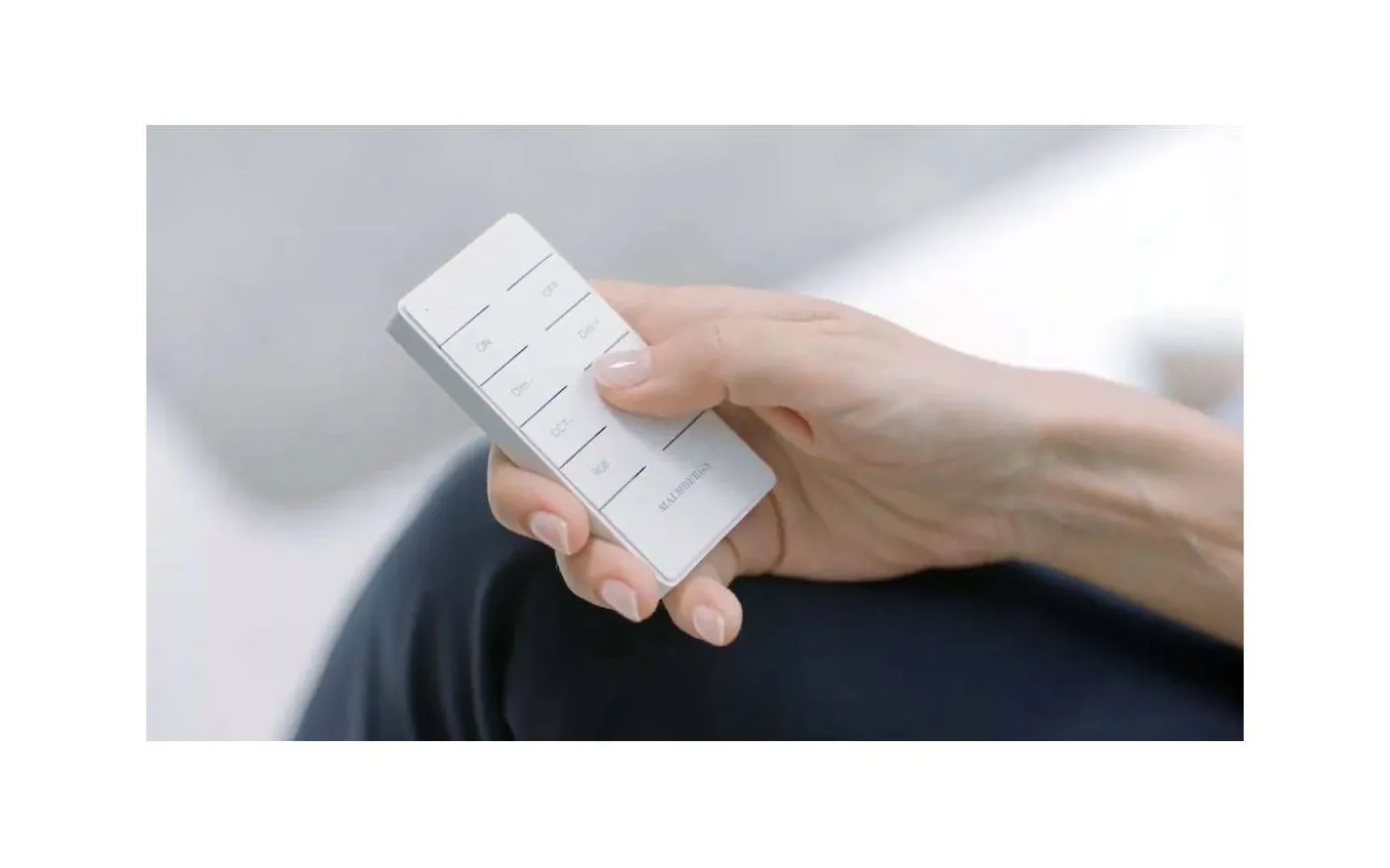 RF Smart Fjärrkontroll