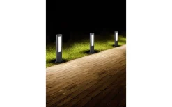 Trio Lighting Rhine Pollare 50cm LED antracit IP54* Pollare & Grindlyktor