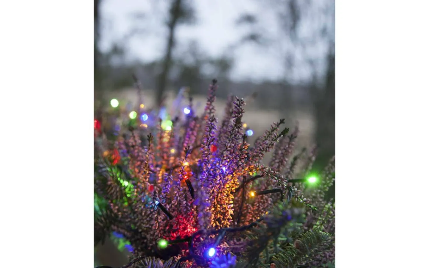 Ljusslingor Med Färgade Lampor<Star Trading Serie MicroLED Ljusslinga 3m Multifärgad IP44