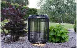 Solcellslampor Dekoration|Visa Alla Solcellslampor<Star Trading Solcellsdekoration Sunlight 48cm Svart