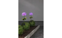 Star Trading Solcellspinne Hortensia 77cm Rosa* Solcellslampor Stig & Mark|Visa Alla Solcellslampor