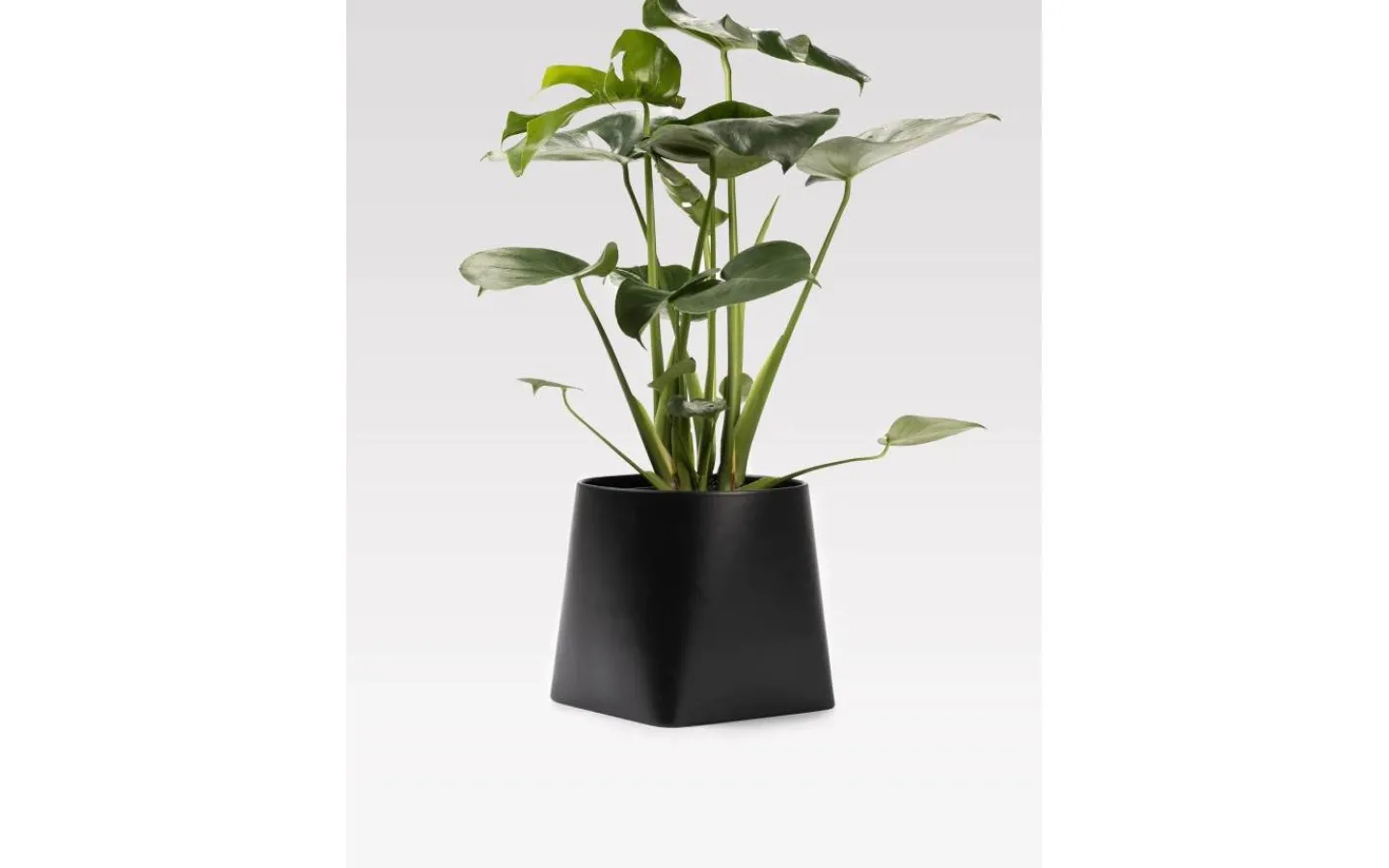 Vaser & Blomkrukor<Markslojd Somma Kruka Svart 20 cm