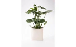 Vaser & Blomkrukor<Markslojd Somma Kruka Vit 20 cm