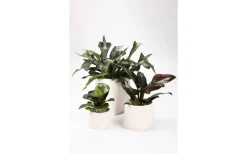 Vaser & Blomkrukor<Markslojd Somma Kruka Vit 20 cm