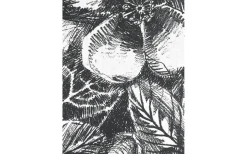 Svanefors Sonia Duk Svartvit 140x250cm* Bordsdukar