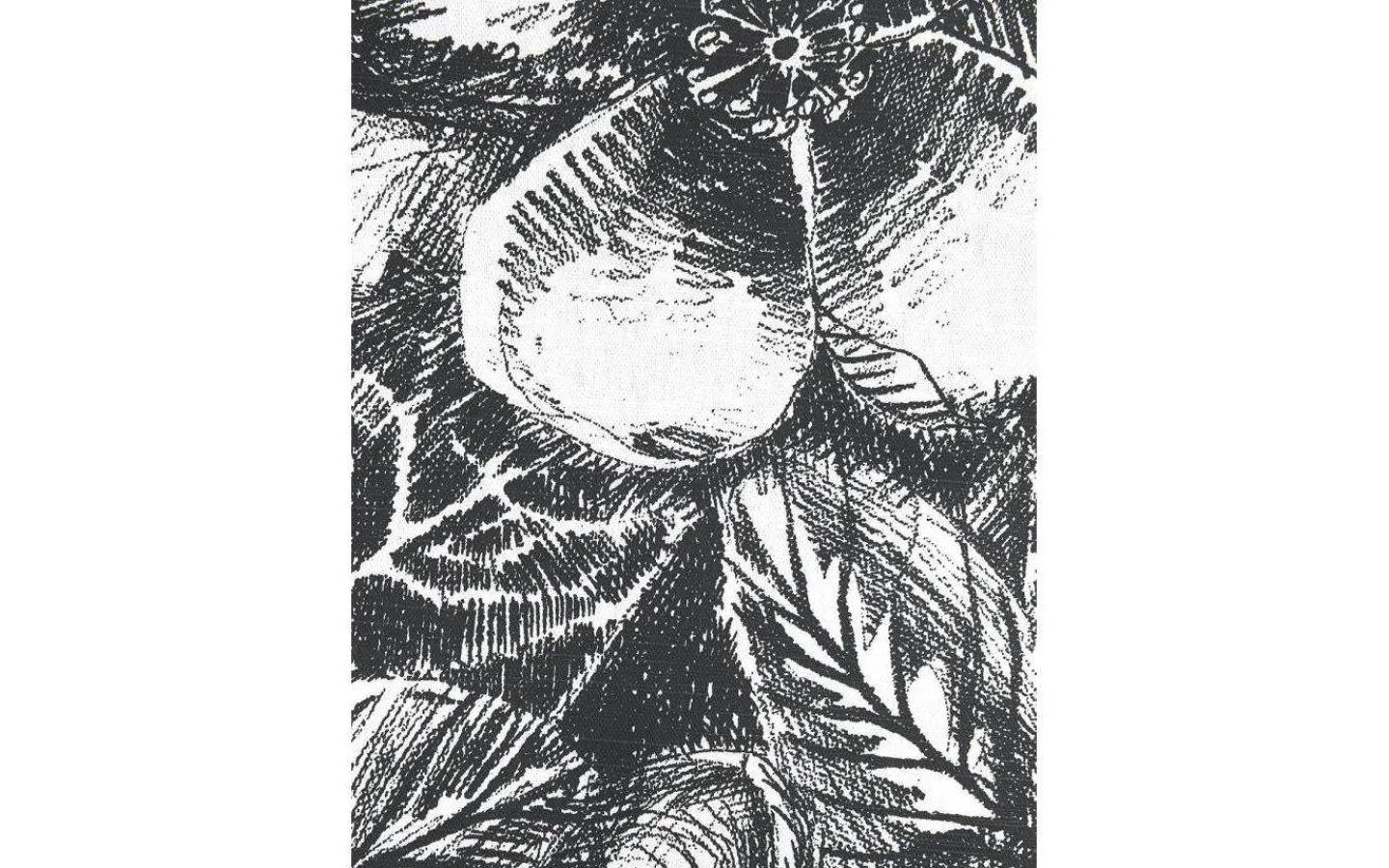 Svanefors Sonia Duk Svartvit 140x250cm* Bordsdukar