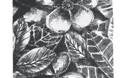 Svanefors Sonia Duk Svartvit 140x250cm* Bordsdukar