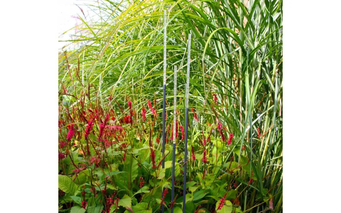 Stix LED-spjut 3W 60lm Lightson