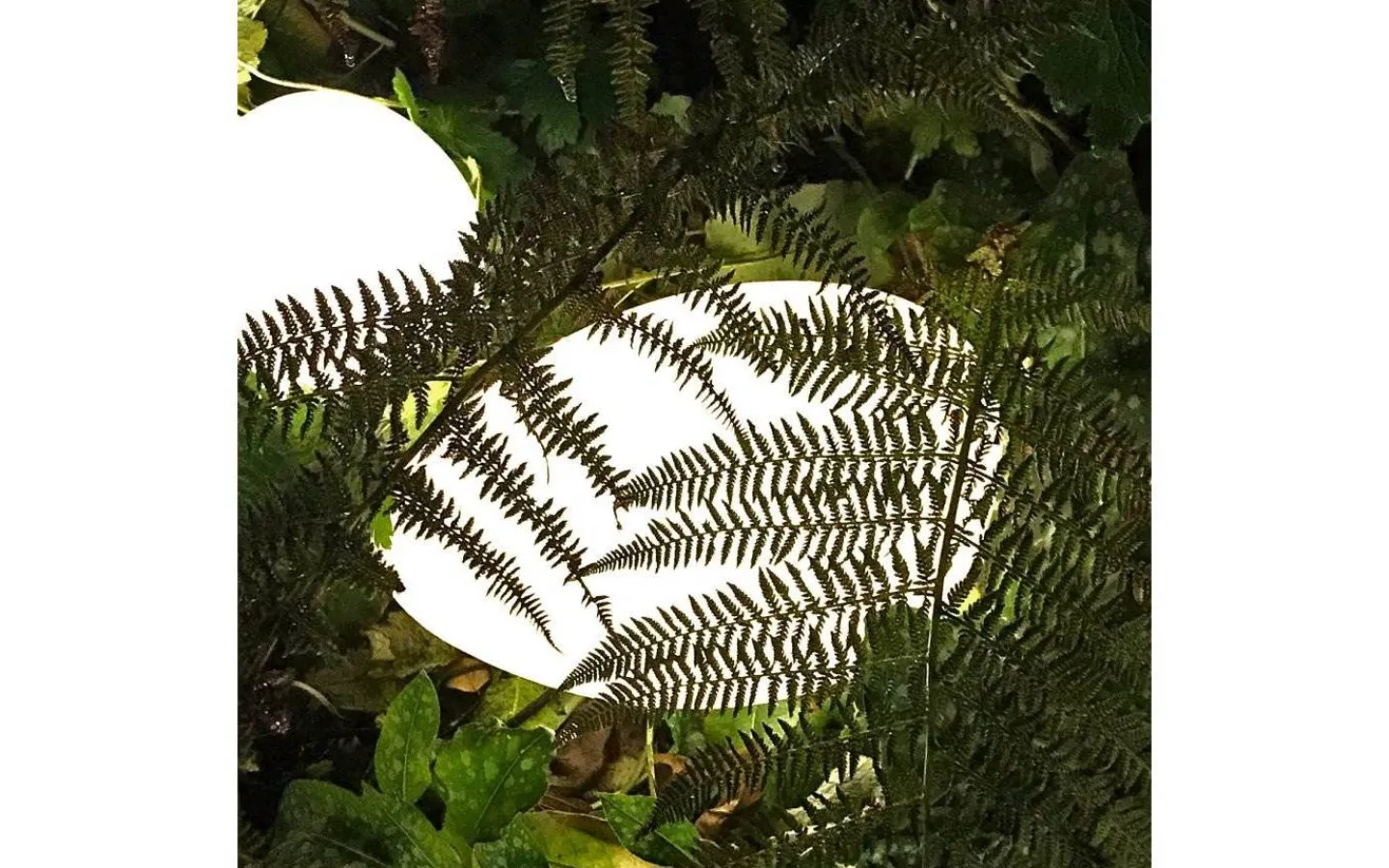 Lightson Stone 25cm LED 90lm 2W* Lightson Garden Plug & Play