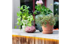 Strip Ljusband 2,5m LED 2700K 15W Lightson