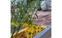 Strip Ljusband 2,5m LED 2700K 15W Lightson