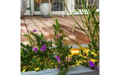 Strip Ljusband 2,5m LED 2700K 15W Lightson