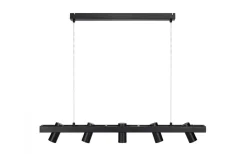 Torino Taklampa 5L Svart