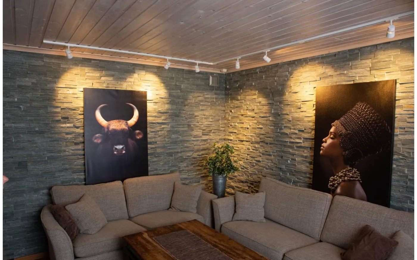 Trackline Aero Spotlight LED 7W 2700K Matt Vit