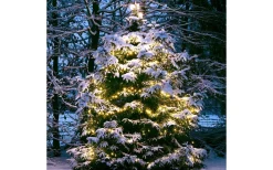 Twinky PRO Ljusslinga 10m LED, Lightson Plug and Play