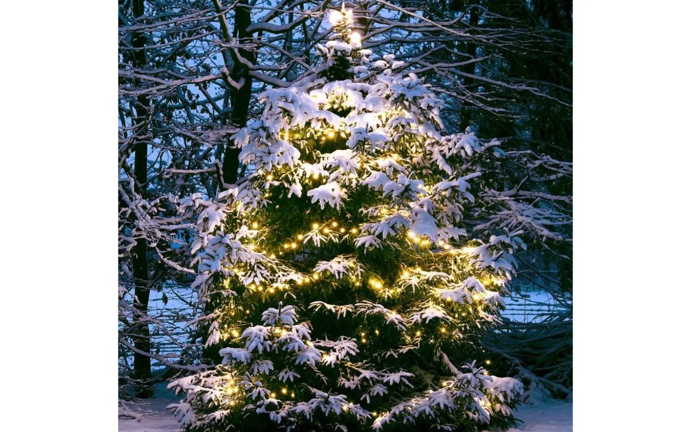 Twinky PRO Ljusslinga 10m LED, Lightson Plug and Play