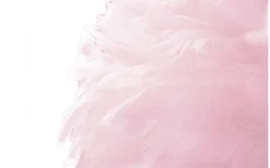 Golvlampor<Mauro Ferretti Unica Golvlampa 165cm Rosa/Guld