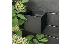 Venus 15X15 Vägglampa Svart IP54