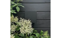 Venus 15X15 Vägglampa Svart IP54