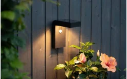 Solcellslampor Vägg|Visa Alla Solcellslampor<Star Trading Vici Solcellsdriven Vägglampa Med Rörelsesensor, Svart