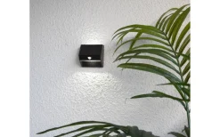 Star Trading Wally Solcellslampa med Sensor Svart* Solcellslampor Vägg|Visa Alla Solcellslampor