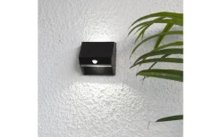 Star Trading Wally Solcellslampa med Sensor Svart* Solcellslampor Vägg|Visa Alla Solcellslampor