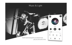 TeraLite LED Wifi Gateway till V4 Mottagare* Teralite Smarta Hem|12V Led Slinga