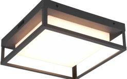 Taklampor Utomhus<Trio Lighting Witham Plafond LED antracit IP54
