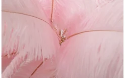 Mauro Ferretti Yoga Golvlampa Palm 160cm Rosa/Guld* Golvlampor