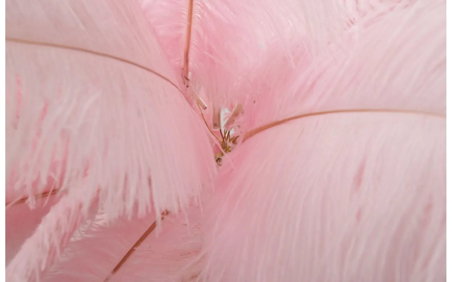 Mauro Ferretti Yoga Golvlampa Palm 160cm Rosa/Guld* Golvlampor