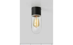 Zen Taklampa Badrum IP44 Svart/Klar