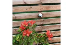 Decklights Led|Lightson Garden Plug & Play<Lightson Zenit LED 3000K 20lm 0,5W