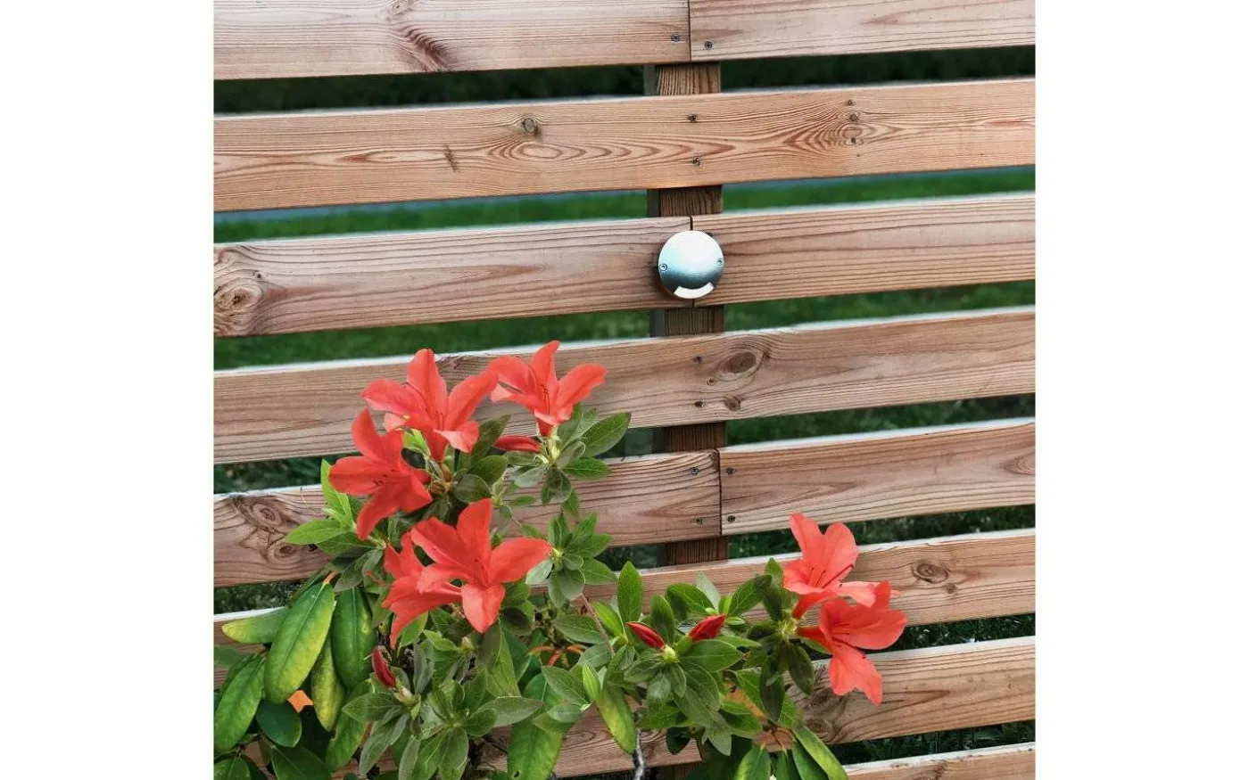 Zenit LED 3000K 20lm 5x0,5W 5-Pack Lightson