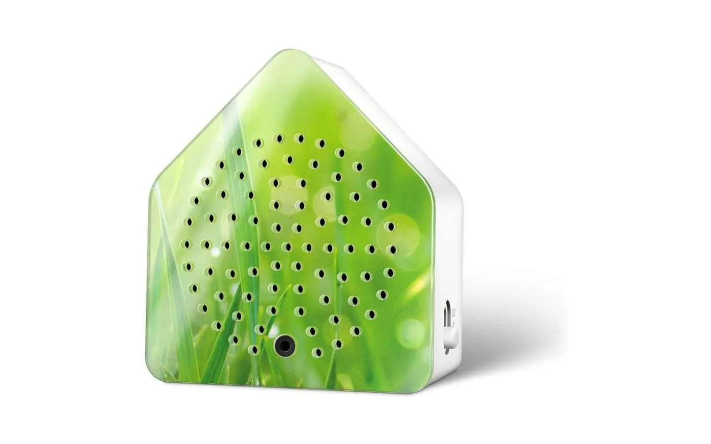 Zirpybox Speldosa 2-pack Gräshoppa Äng